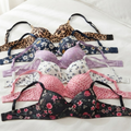 M 2200 padded ( Pack of 6 )